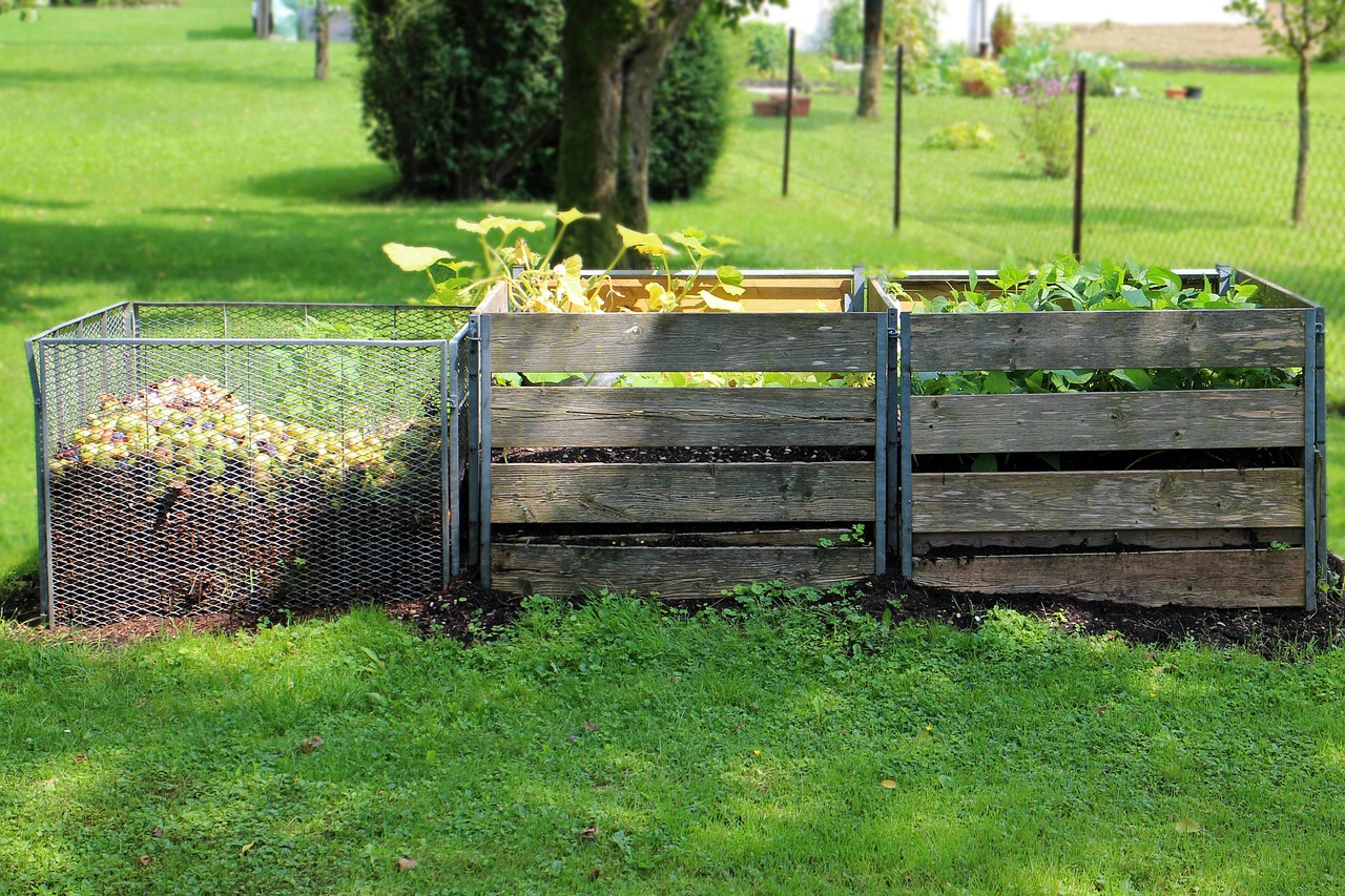 Komposthaufen in drei Stufen, zwei mit Nachtschattengewächsen bepflanzt