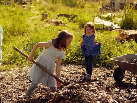 Gemüseackerdemie: Kinder bei der Gartenarbeit