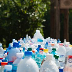 UnzÃ¤hlige Plastikflaschen vor Hauseingang mit Strauch
