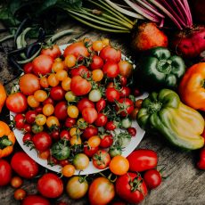 Gemüse: Foodsave-Bankette retten Lebensmittel vor der Biogas-Anlage.