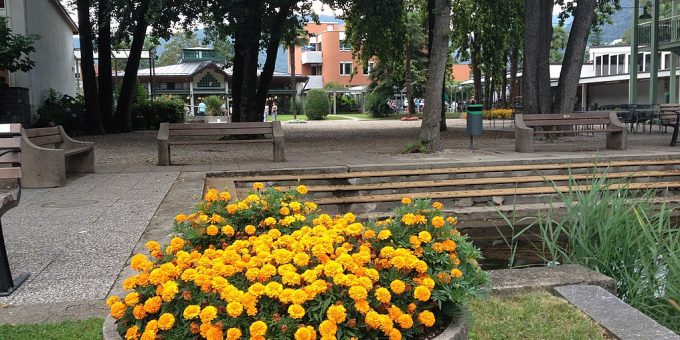 Schattige hölzerne Sitzgelegenheiten unter Bäumen auf einem Platz im Ferienzentrum Centro Magliaso; im Vordergrund runder grosser Betontopf mit gelben Blumen