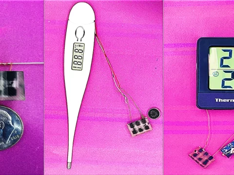 Bild: © BINGHAMPTON UNIVERSITY