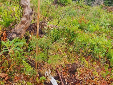 Bild: (c) Kathrin Streit