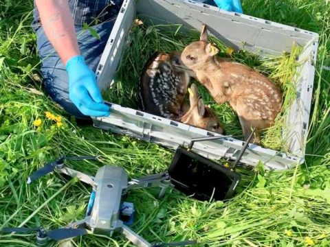 rehkitzrettung-thurgau.ch