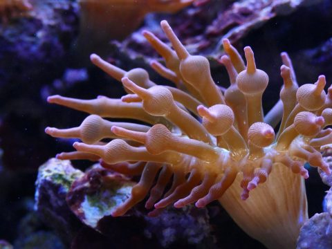 Bild: (c) Pexels.com/Marcus Lange