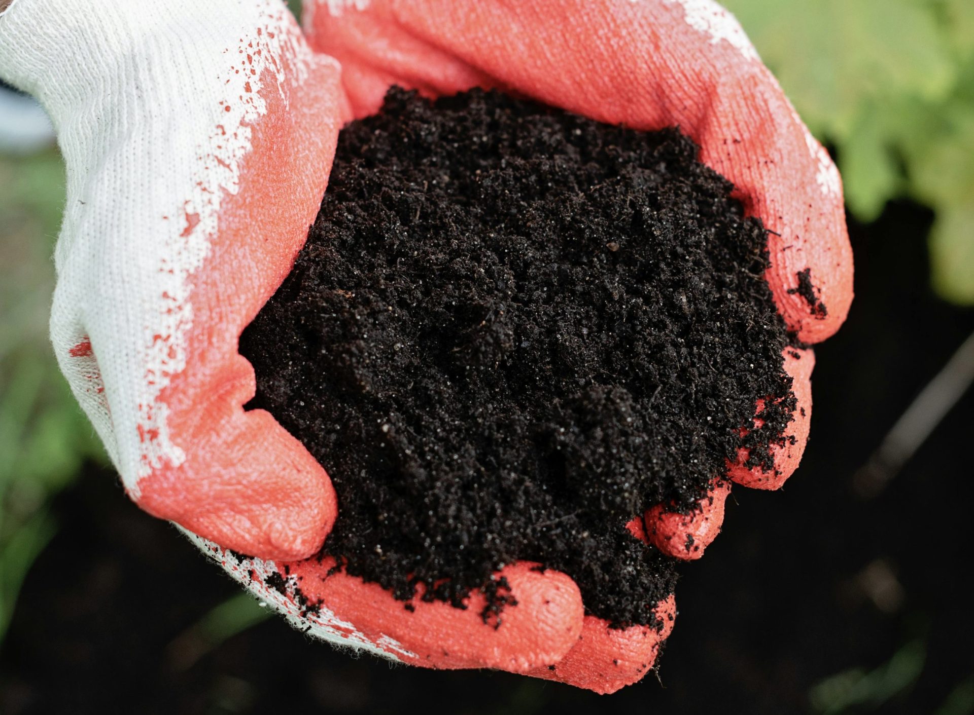 Klimaschutz durch CO₂-Ausgleich durch Humus im Boden - Die Gute Minute