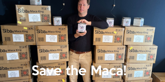 Save the Maca! 543 Packungen schwarzes Maca-Pulver vor der Verschwendung bewahren