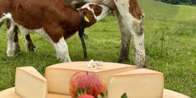 Cowpassion: Käsegenuss für Tierfreunde