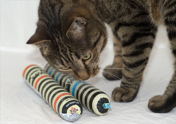 Katzenfutter nach dem Vorbild der Natur